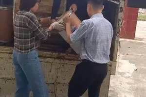 SỞ Y TẾ NINH BÌNH HỖ TRỢ 450 KG CLORAMIN B CHO SỞ Y TẾ TỈNH GIA LAI