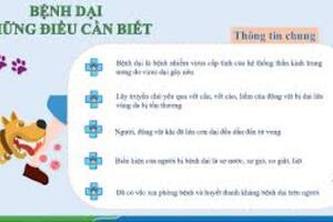 Tìm hiểu về bệnh Dại