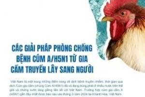 Các giải pháp phòng chống bệnh cúm A/H5N1 lây truyền từ gia cầm sang người