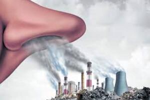 Tác động của ô nhiễm không khí tới sức khỏe con người