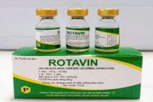 Triển khai vắc xin Rota cho trẻ em dưới 1 tuổi trong Chương trình Tiêm chủng mở rộng tại tỉnh Ninh Bình