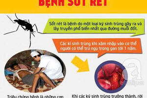 Đẩy mạnh hoạt động phòng, chống sốt rét