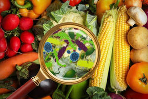 Thực phẩm bẩn có thể gây ra những bệnh ung thư nào?