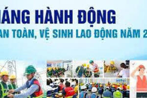 Triển khai Tháng hành động về an toàn, vệ sinh lao động trong ngành Y tế năm 2026 trên địa bàn tỉnh Ninh Bình