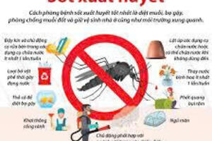 Phòng, chống bệnh sốt xuất huyết Dengue trên địa bàn tỉnh Ninh Bình năm 2026