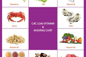 Tầm quan trọng của vi chất dinh dưỡng đối với trẻ em