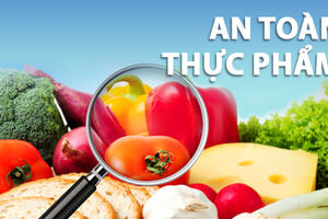 BẢO ĐẢM AN TOÀN THỰC PHẨM TẠI KHU DU LỊCH