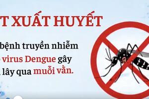 Video - Sốt xuất huyết