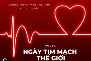 Xã Hải Xuân hưởng ứng ngày tim mạch thế giới 2026: “đừng bỏ lỡ một nhịp tim”