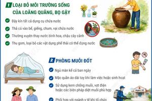 Hưởng ứng ngày ASEAN phòng, chống sốt xuất huyết năm 2026 (15/6/2026)