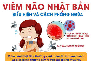 Bệnh viêm não Nhật Bản và cách phòng, chống