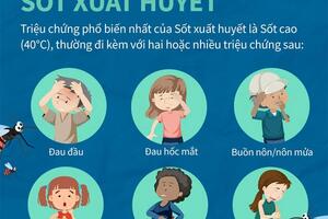 Tìm hiểu về bệnh sốt xuất huyết