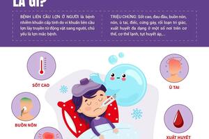 Phòng chống bệnh do liên cầu lợn