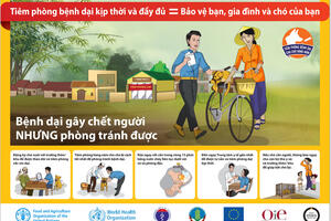 Tiêm phòng bệnh dại kịp thời và đầy đủ