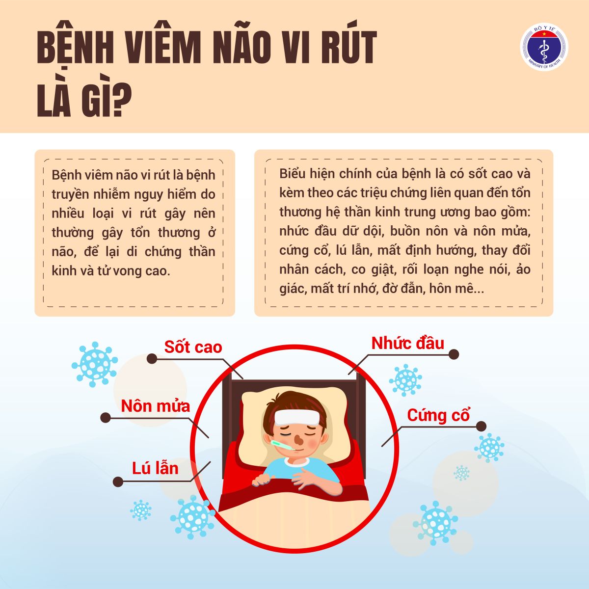Inforgraphic - Viêm não vi rút