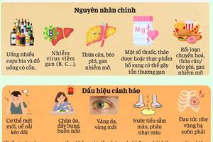 Inforgraphic - Men gan cao là gì?