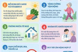 Infographic - Phòng ngừa gãy xương do loãng xương ở người cao tuổi