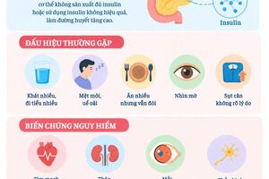 Inforgraphic - Phòng chống bệnh đái tháo đường
