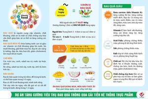 Dự án tăng cường tiêu thụ rau quả thông qua cải tiến hệ thống thực phẩm