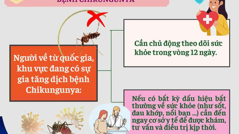 3 việc thiết thực phòng, chống bệnh Chikungunya