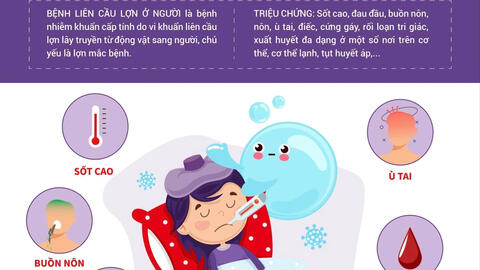 Tăng cường công tác phòng, chống lây nhiễm liên cầu lợn sang người