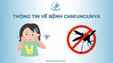 mp3 - Những điều cần  biết về bệnh Chikungunya
