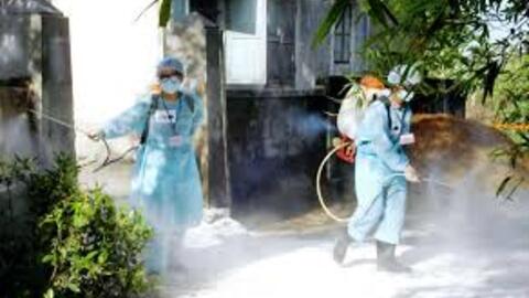 Công văn truyền thông phòng, chống liên cầu lợn
