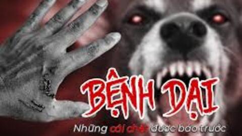 THÔNG TIN BÁO CHÍ VỀ BỆNH DẠI