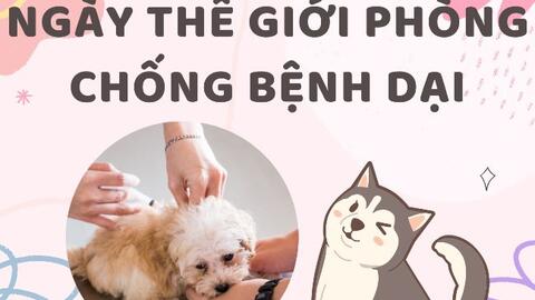 Trung tâm Y tế Phủ Lý: Tuyên truyền hưởng ứng Ngày thế giới phòng chống bệnh dại 28/9/2025