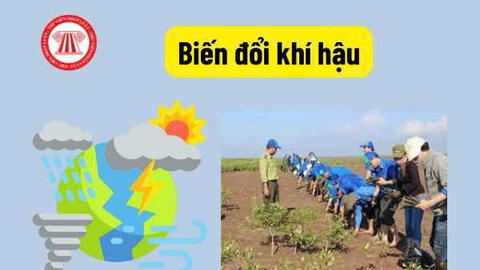 Cách ứng phó để giảm thiểu biến đổi khí hậu