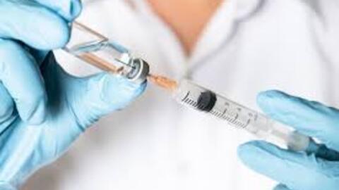 Điểm khác biệt giữa vắc xin dại và huyết thanh dại