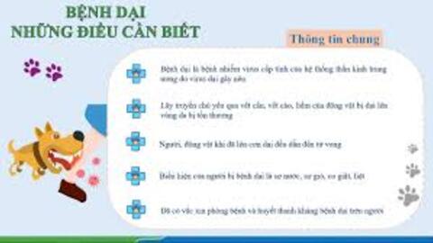 Tìm hiểu về bệnh Dại