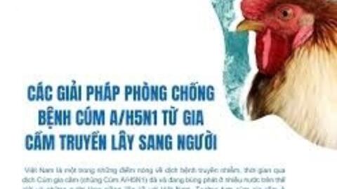 Các giải pháp phòng chống bệnh cúm A/H5N1 lây truyền từ gia cầm sang người