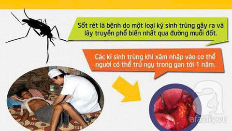 Đẩy mạnh hoạt động phòng, chống sốt rét