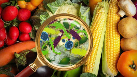 Thực phẩm bẩn có thể gây ra những bệnh ung thư nào?