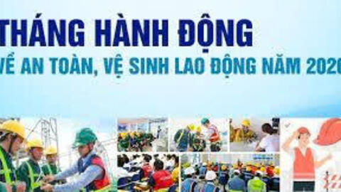 Triển khai Tháng hành động về an toàn, vệ sinh lao động trong ngành Y tế năm 2026 trên địa bàn tỉnh Ninh Bình