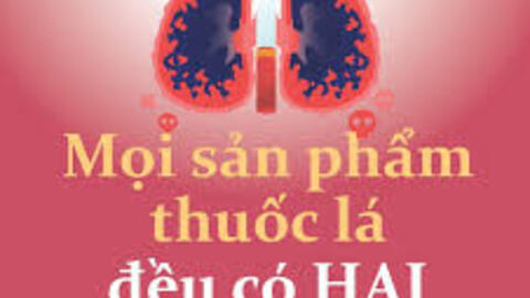 Inforgraphic về thuốc lá