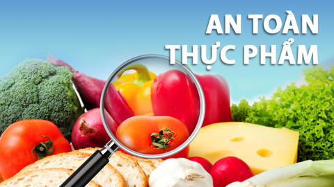 BẢO ĐẢM AN TOÀN THỰC PHẨM TẠI KHU DU LỊCH