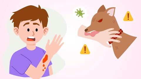 Triển khai chiến dịch truyền thông cao điểm Hưởng ứng Ngày Thế giới phòng, chống bệnh Dại 28/9
