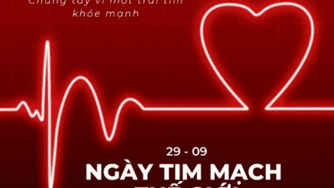Xã Hải Xuân hưởng ứng ngày tim mạch thế giới 2026: “đừng bỏ lỡ một nhịp tim”