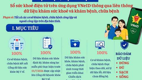 Inforgraphic  - Chiến dịch 100 ngày tạo lập, cập nhật Sổ sức khỏe điện tử trên VNeID