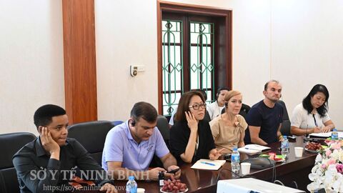 Đoàn chuyên gia Quỹ toàn cầu phòng, chống HIV, Lao và Sốt rét làm việc tại Ninh Bình