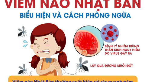 Bệnh viêm não Nhật Bản và cách phòng, chống