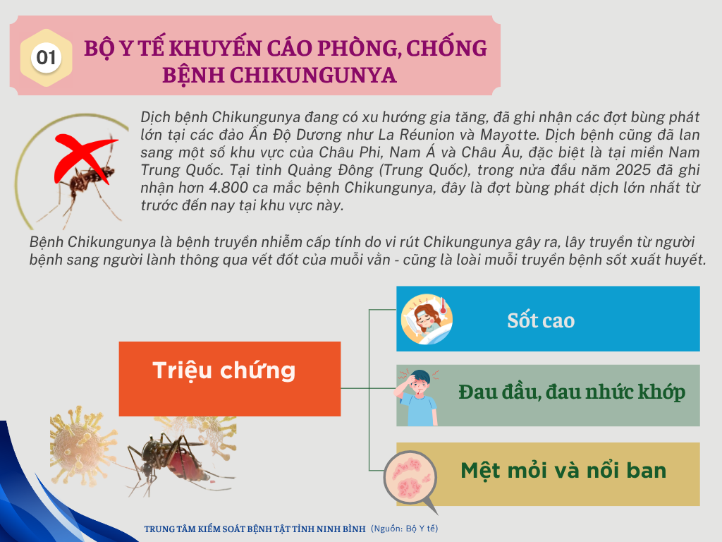 Bộ Y tế khuyến cáo phòng, chống bệnh Chikungunya.