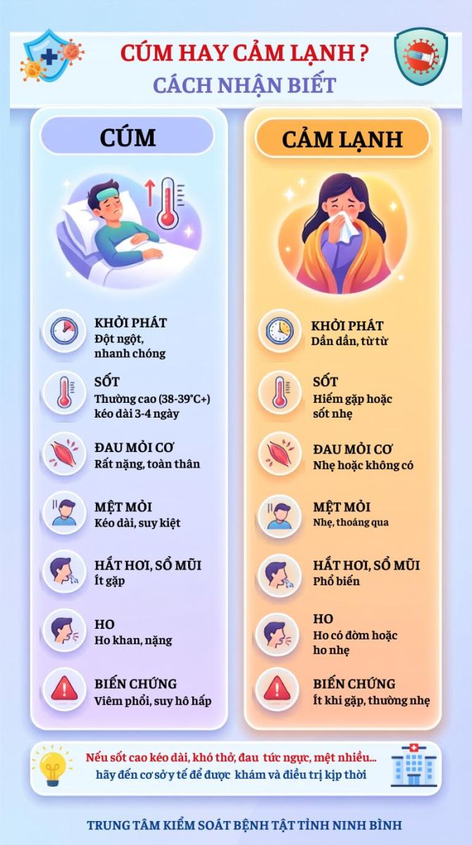 Inforgraphic - Cúm hay cảm lạnh? Cách nhận biết.