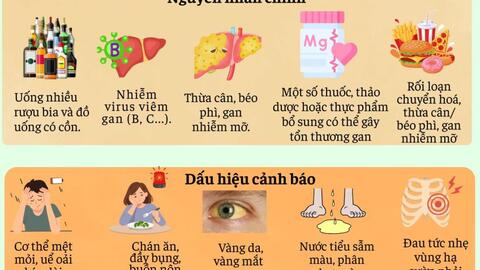 Inforgraphic - Men gan cao là gì?