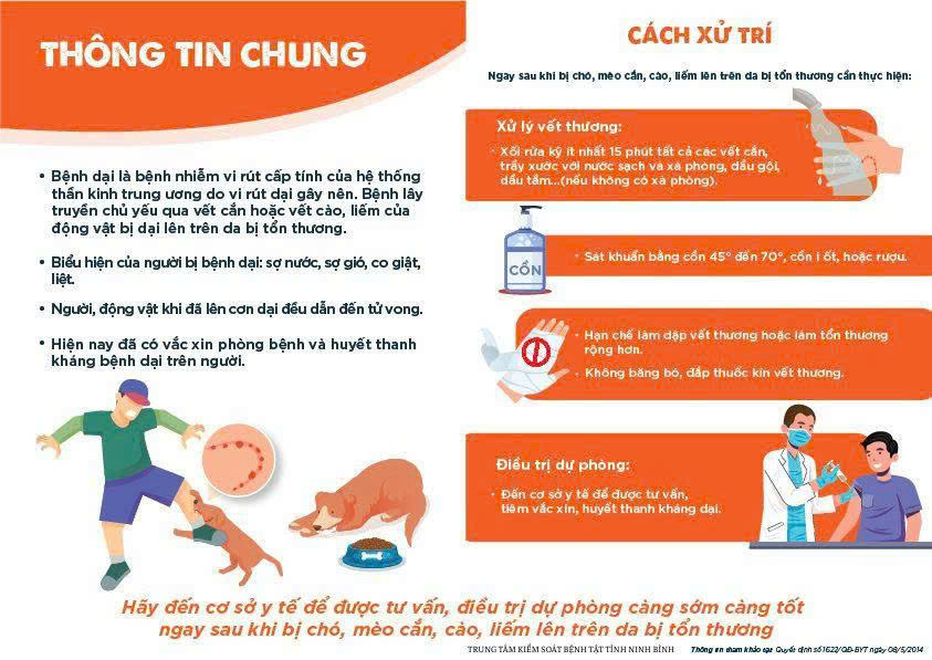 Inforgraphic  - Bệnh dại