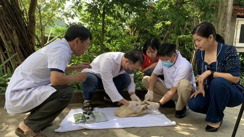 Hoạt động điều tra thu thập mẫu vật côn trùng tại huyện Nho Quan