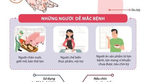 Những điều cần biết bệnh liên cầu lợn ở người