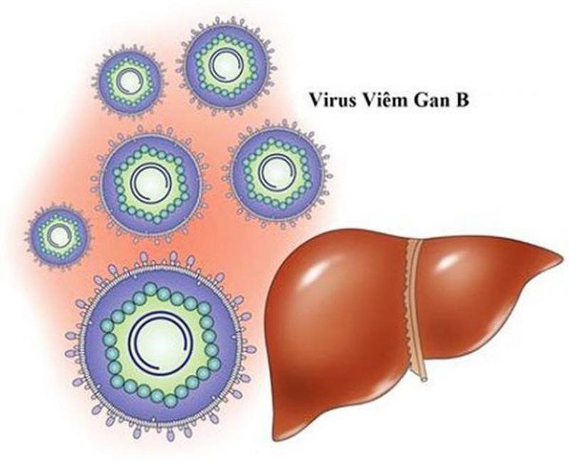 KIẾN THỨC VỀ TIÊM PHÒNG VẮC XIN VIÊM GAN B